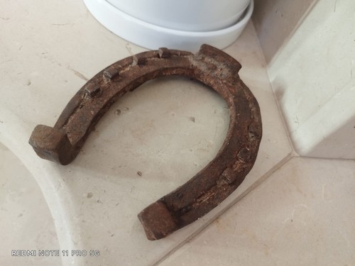 Ferro cavallo con chiodi - cavallo,